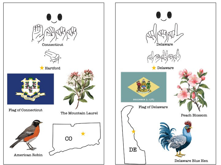 50 ASL States: State Flags & Symbols Mini Book - Digital Download Only